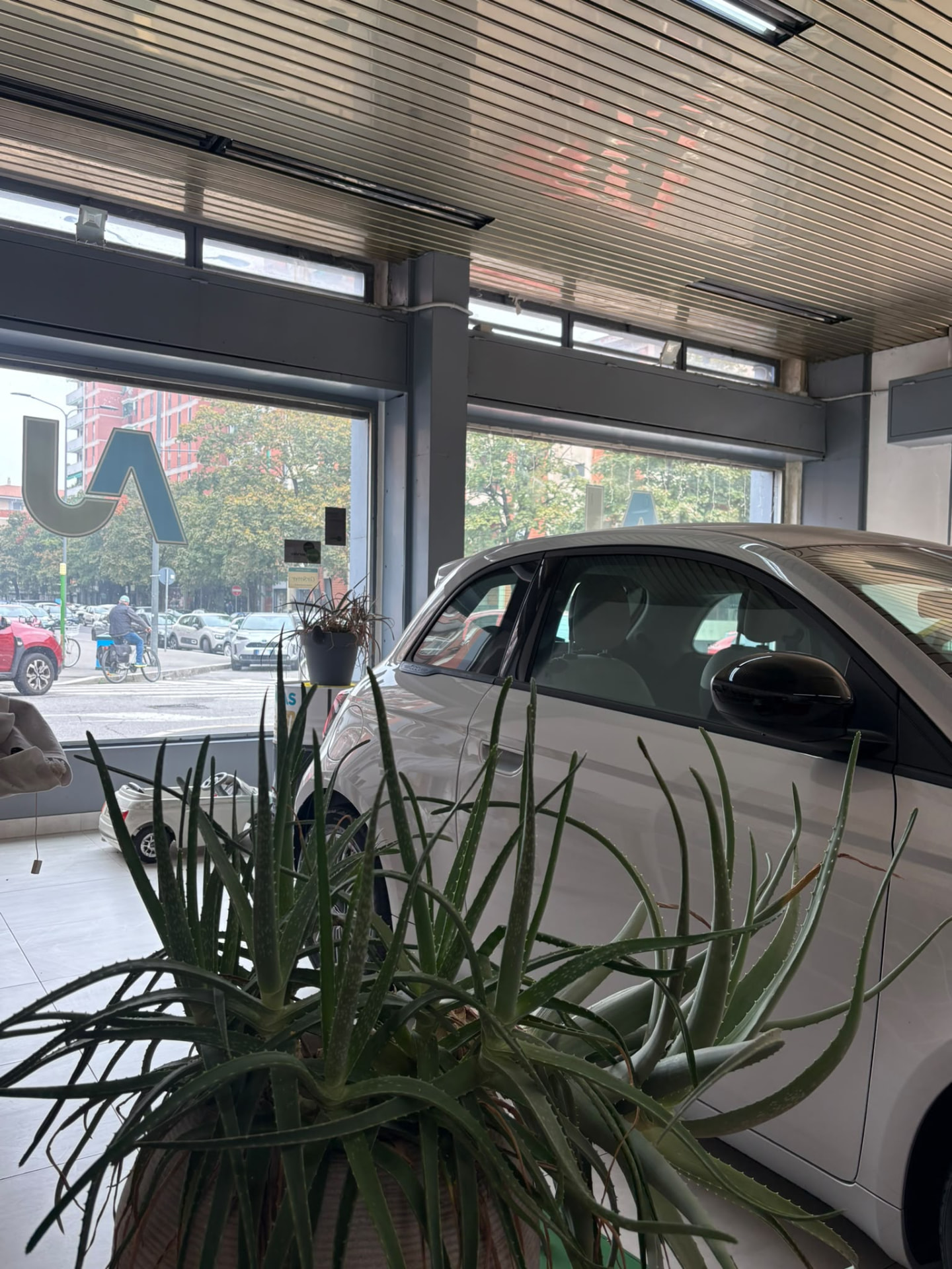 Showroom Autojolly Milano con Fiat 500